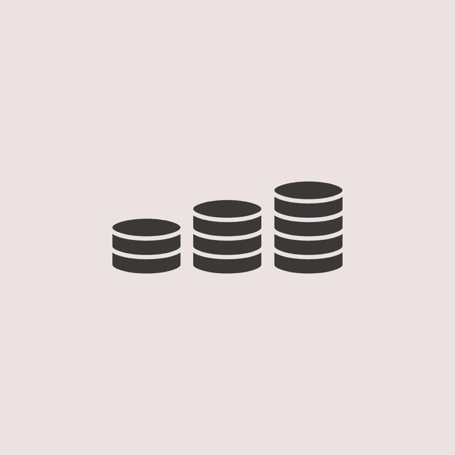 Coin Icon